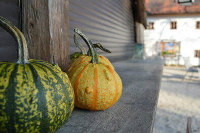 Gastgarten Prandegg Stimmung